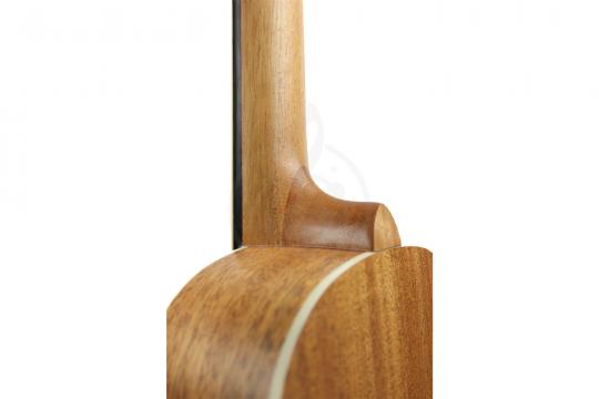 Бас укулеле  - фото 5