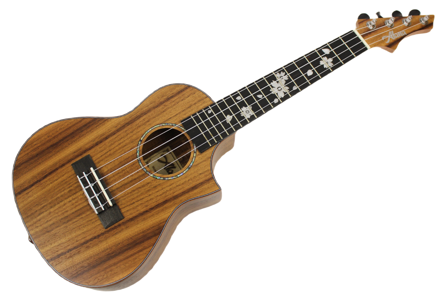 Укулеле концерт  - фото 1