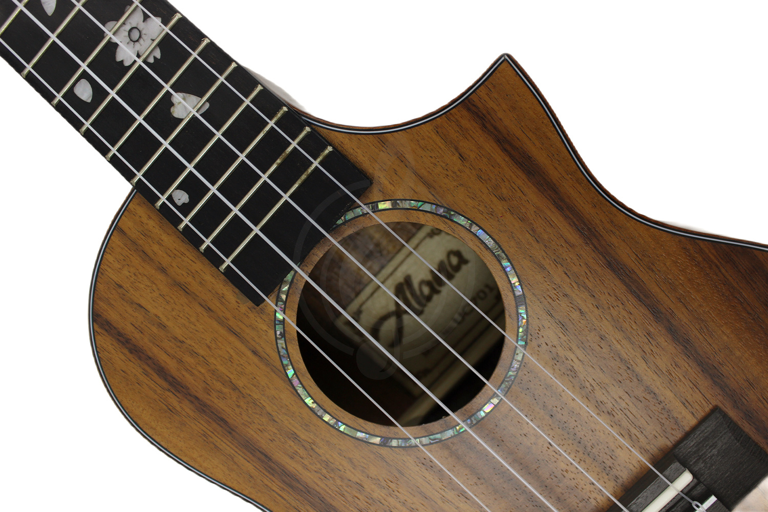 Укулеле концерт  - фото 4