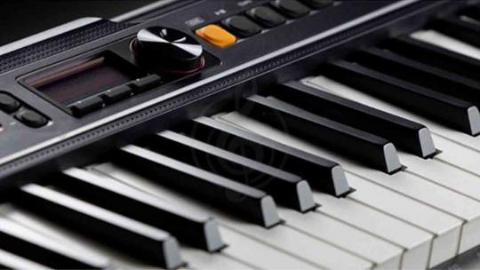 Домашний синтезатор  - фото 5