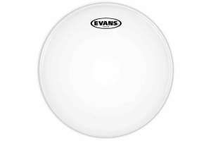 Изображение Evans B12G2