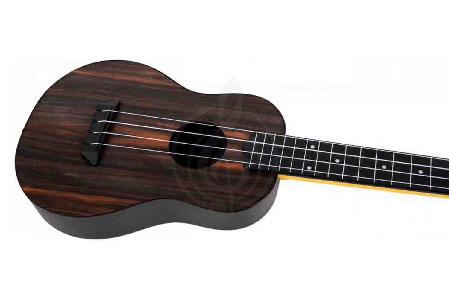 Укулеле концерт  - фото 7