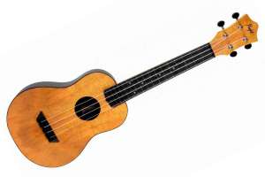 Изображение Flight TUC-55 MANGO