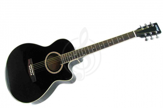 Изображение Акустическая гитара Homage LF-401C-B