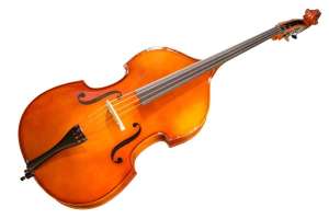 Изображение Hora B110BAG-3/4 Rhapsody Student solid top - Контрабас