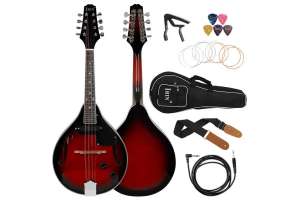 Изображение Irin ME-31 - Электромандолина, комплект