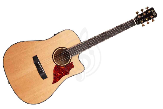 Изображение JOYO JWGT-02