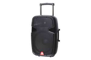 Изображение Leem PR-15HR - Акустическая система с 2 микрофонами