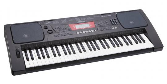 Домашний синтезатор  - фото 2