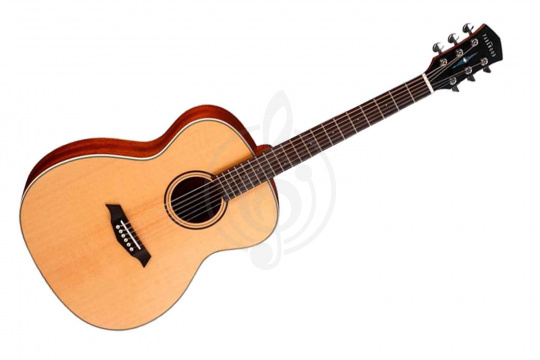 Изображение Акустическая гитара Parkwood S22-GT