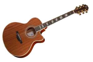 Изображение Ramis RA-C02C-NL