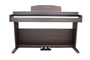 Изображение Solista DP200BR - Цифровое пианино