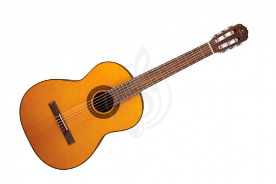Изображение SOLISTA SG-C1 Natural - Классическая гитара