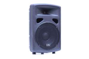 Изображение Soundking FP0210 - Пассивная акустическая система