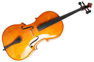 Изображение Strunal 4/17C-4/4 - Виолончель 4/4