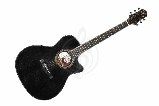 Изображение TIGER T-1-GGP OMC-TBK - Трансакустическая гитара