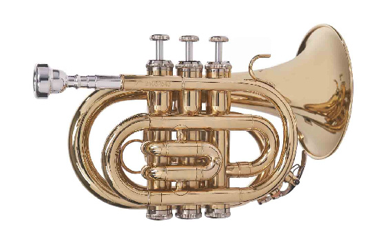 Изображение Vivoton Trumpet Standart (Pocket)