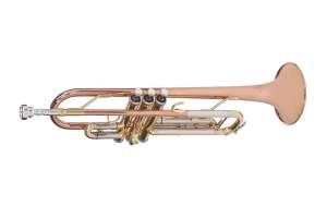 Изображение VIVOTON student - Труба