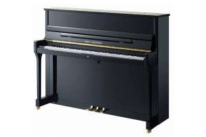 Изображение W.Steinberg 190014-1MK Performance P118 Пианино акустическое, черное, латунная фурнитура